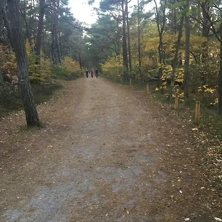 Urlaubstraum 아파트 트라센하이드